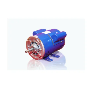 CG NEMA B42/B48 frame fractional horse power motor