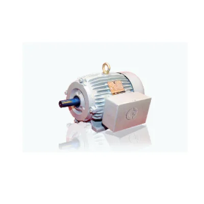 CG single phase cast iron body motor